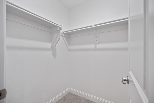 view of walk in closet