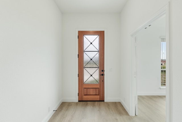 foyer entrance featuring light hardwood / wood-style floors and plenty of natural light