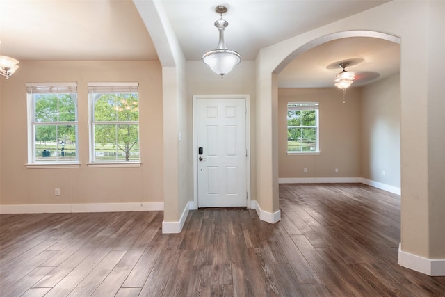 foyer with dark hardwood / wood-style floors, a wealth of natural light, and ceiling fan