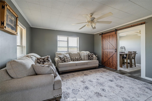 living room featuring dark hardwood / wood-style floors, ornamental molding, a barn door, and ceiling fan