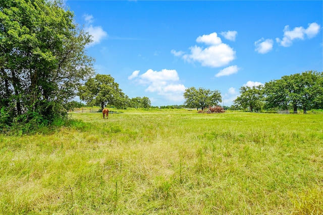 view of landscape with a rural view