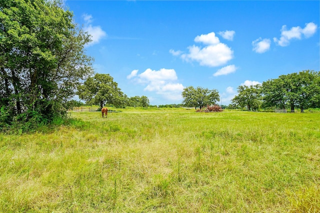 view of yard featuring a rural view