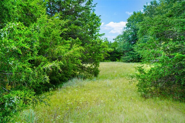 view of yard featuring a rural view