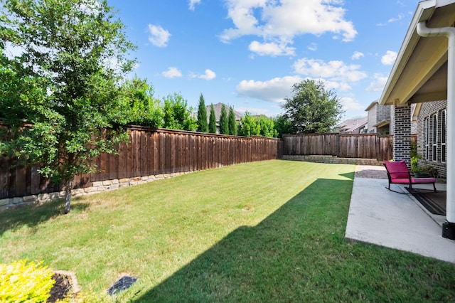 view of yard featuring a patio area