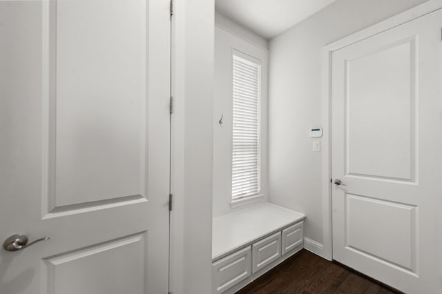 mudroom featuring dark wood-type flooring and plenty of natural light