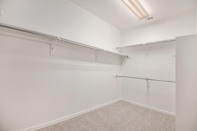 spacious closet featuring carpet