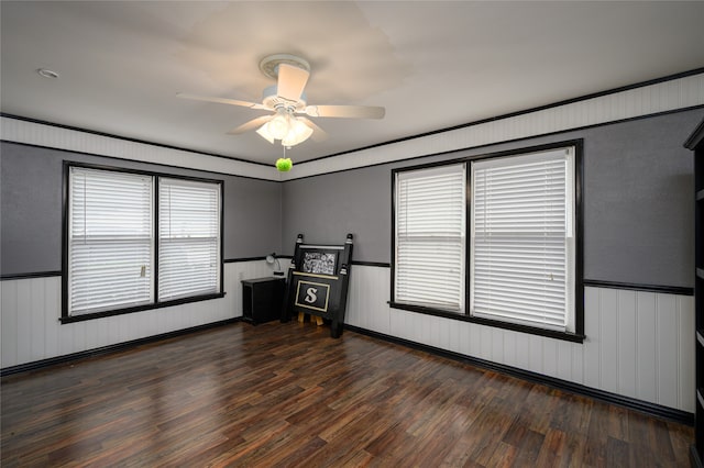 interior space with dark hardwood / wood-style flooring, a wealth of natural light, and ceiling fan