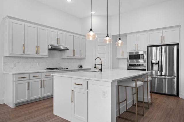 kitchen with appliances with stainless steel finishes, sink, pendant lighting, and an island with sink