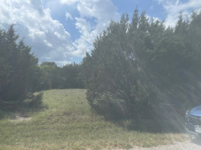 14048 Sandy Oaks Dr, Whitney TX, 76692 land for sale