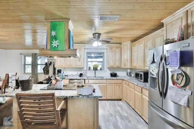 kitchen with light brown cabinetry, appliances with stainless steel finishes, light wood-type flooring, and a healthy amount of sunlight