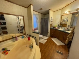 bathroom featuring vanity, a textured ceiling, and hardwood / wood-style floors