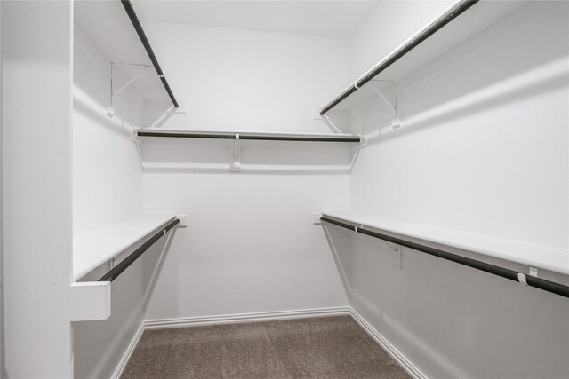 walk in closet with dark carpet