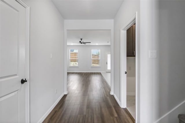 hall with dark hardwood / wood-style flooring