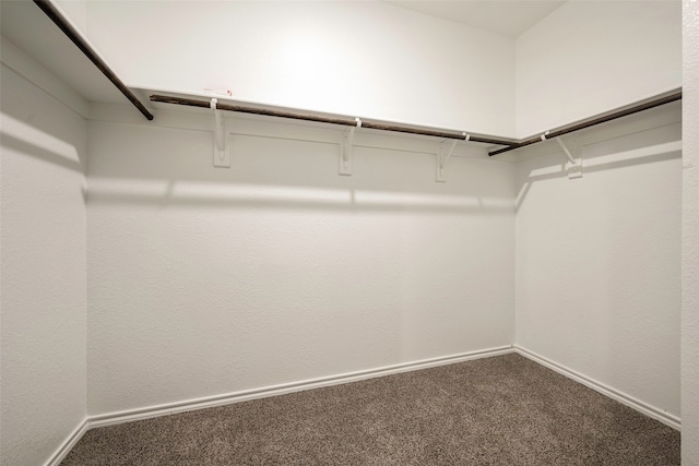 walk in closet with carpet