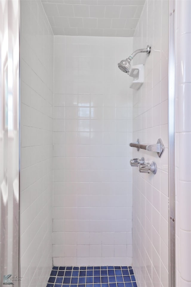 bathroom with tiled shower