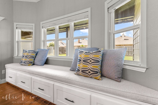 sitting room with dark hardwood / wood-style flooring and a healthy amount of sunlight