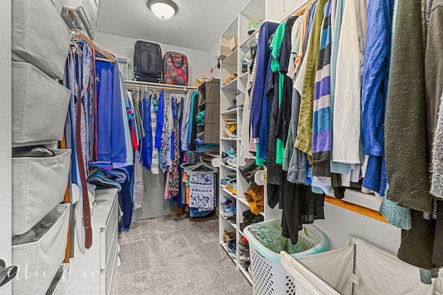 spacious closet featuring light carpet