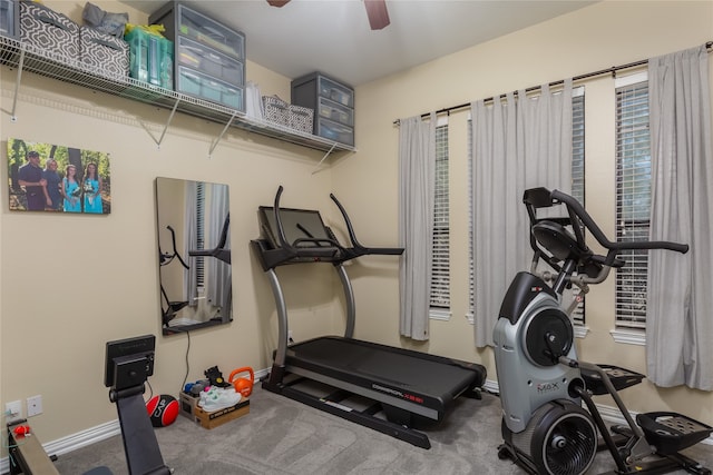 exercise area featuring carpet and ceiling fan