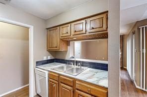 kitchen featuring sink, dark hardwood / wood-style floors, and dishwasher