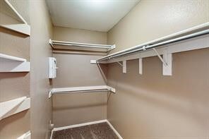 spacious closet featuring carpet