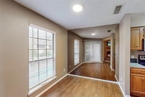 interior space featuring a healthy amount of sunlight and light hardwood / wood-style floors