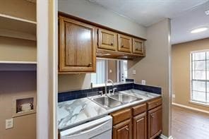 kitchen with hardwood / wood-style floors, sink, dishwasher, and a healthy amount of sunlight