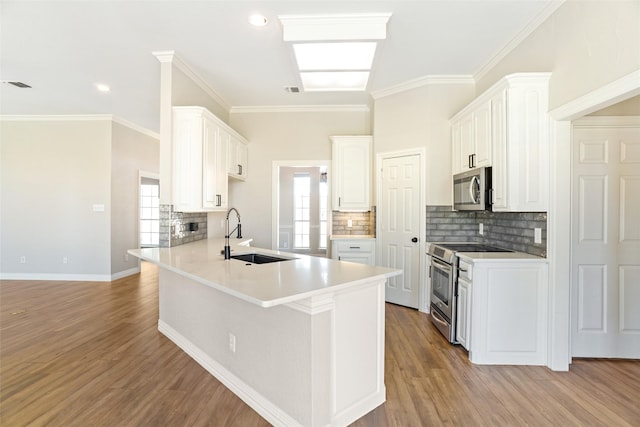 kitchen with appliances with stainless steel finishes, sink, and light wood-type flooring