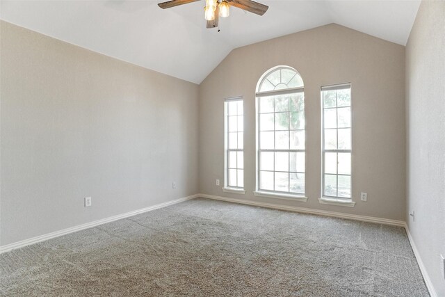 empty room with carpet floors and a wealth of natural light