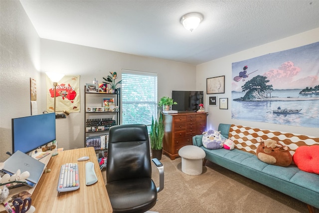 carpeted office space featuring a textured ceiling