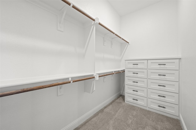 spacious closet featuring light carpet