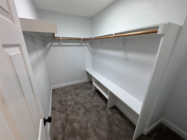 spacious closet with dark colored carpet