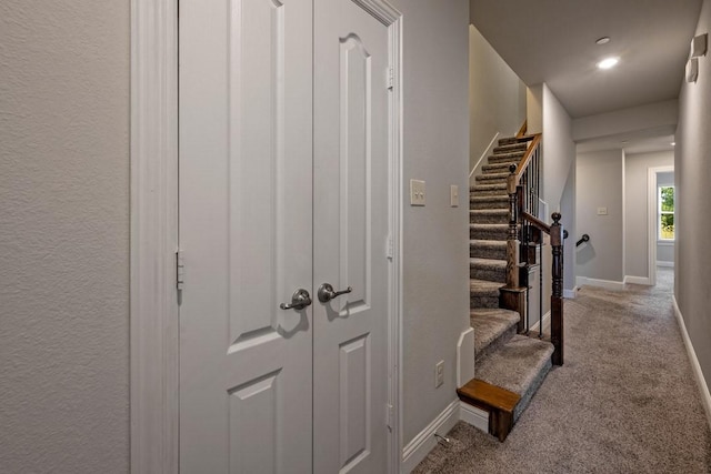 staircase with carpet