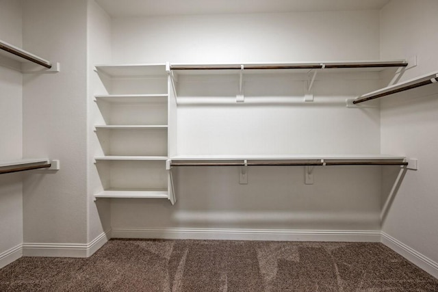 walk in closet featuring dark carpet