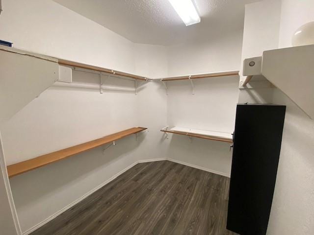 spacious closet featuring dark wood-type flooring