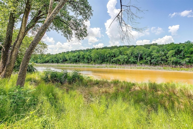 view of local wilderness