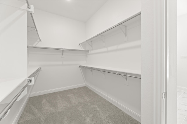 spacious closet featuring carpet