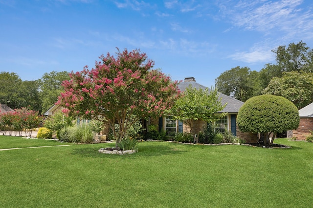 view of front facade with a front lawn