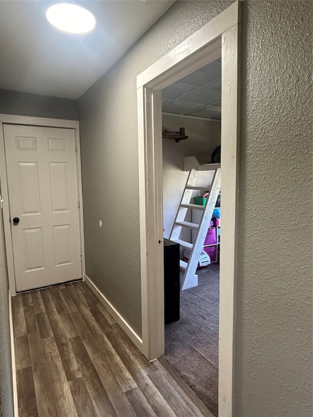 corridor featuring carpet flooring