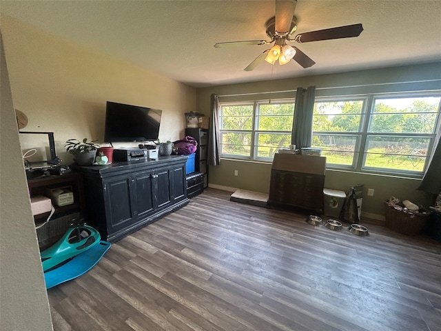 office with ceiling fan and dark wood-type flooring