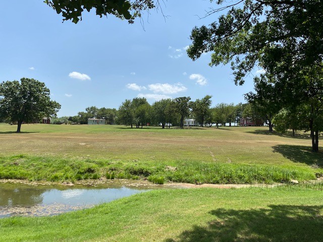 view of property's community with a yard