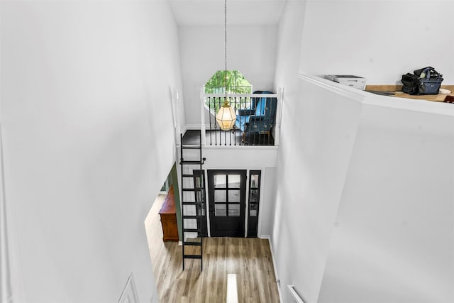 entryway featuring a towering ceiling, hardwood / wood-style flooring, and plenty of natural light