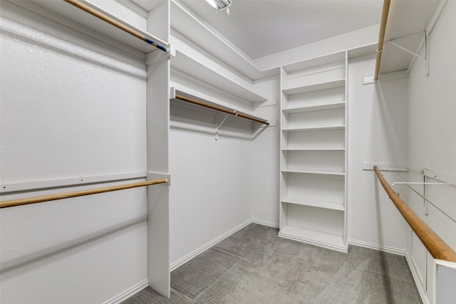 walk in closet with carpet