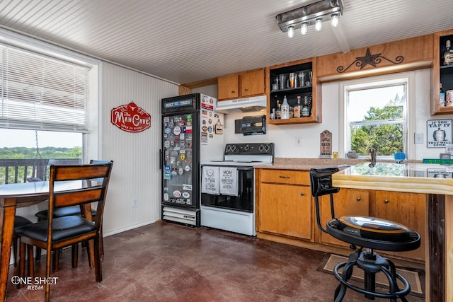 kitchen featuring a healthy amount of sunlight, white electric range oven, and wooden walls