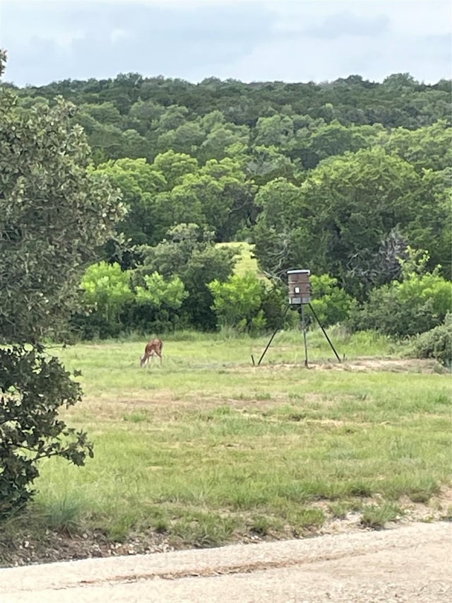 view of yard with a rural view