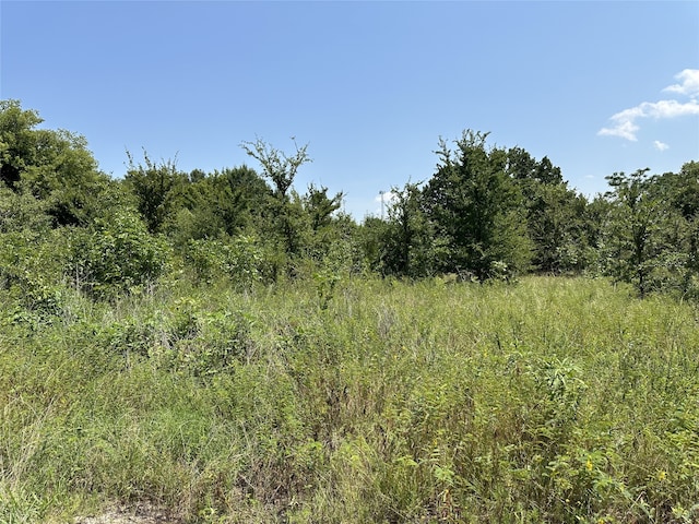 LOT429TBD Private Road 7028, Wills Point TX, 75169 land for sale