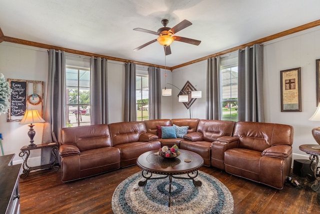 living room with ornamental molding, dark hardwood / wood-style floors, and ceiling fan