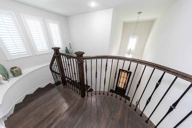 staircase with hardwood / wood-style flooring