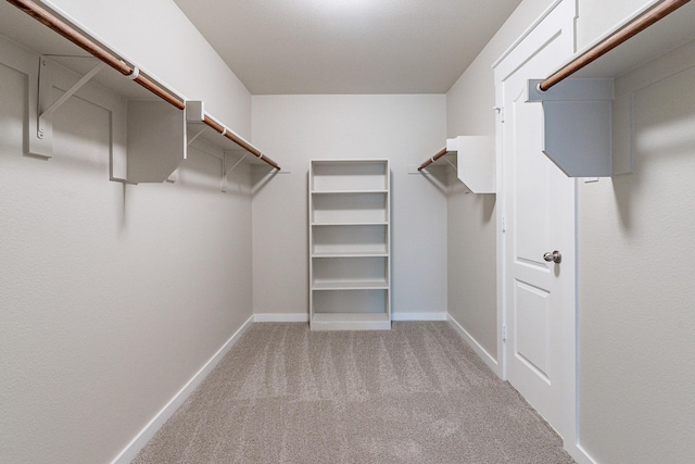 spacious closet featuring light colored carpet