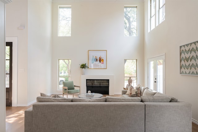 living room featuring plenty of natural light and hardwood / wood-style floors