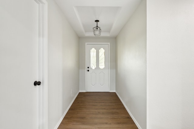 doorway with wood-type flooring and a tray ceiling